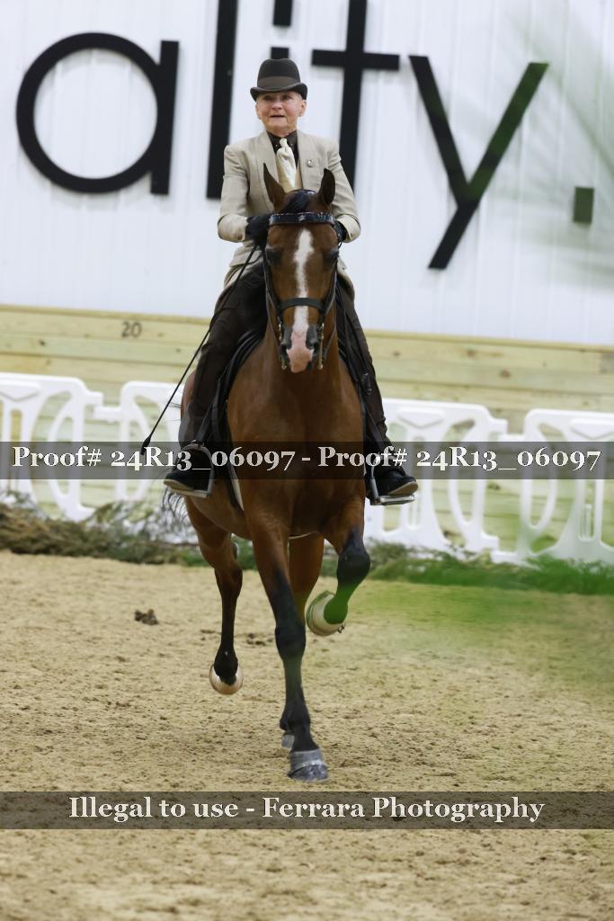 Proof 24R13_06097