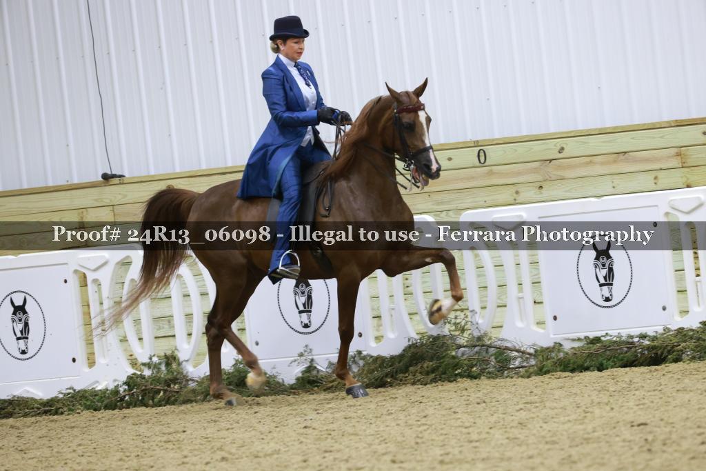 Proof 24R13_06098