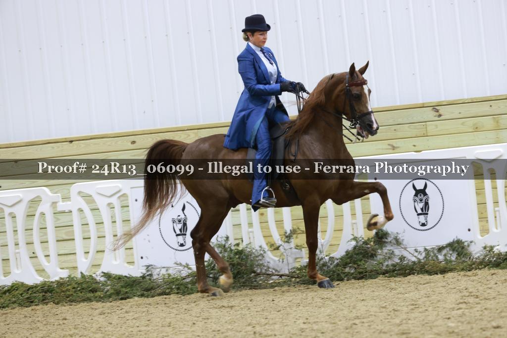 Proof 24R13_06099