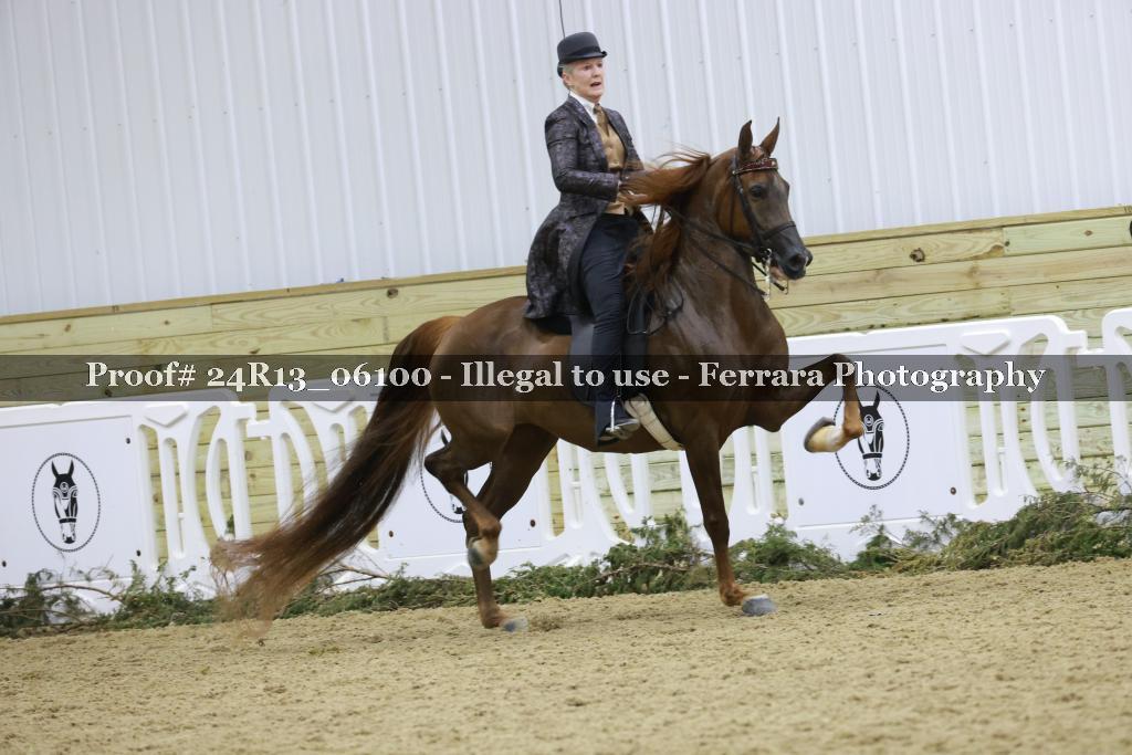 Proof 24R13_06100