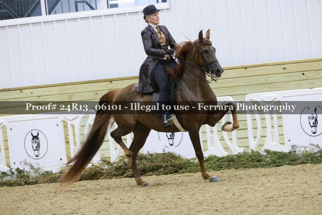Proof 24R13_06101
