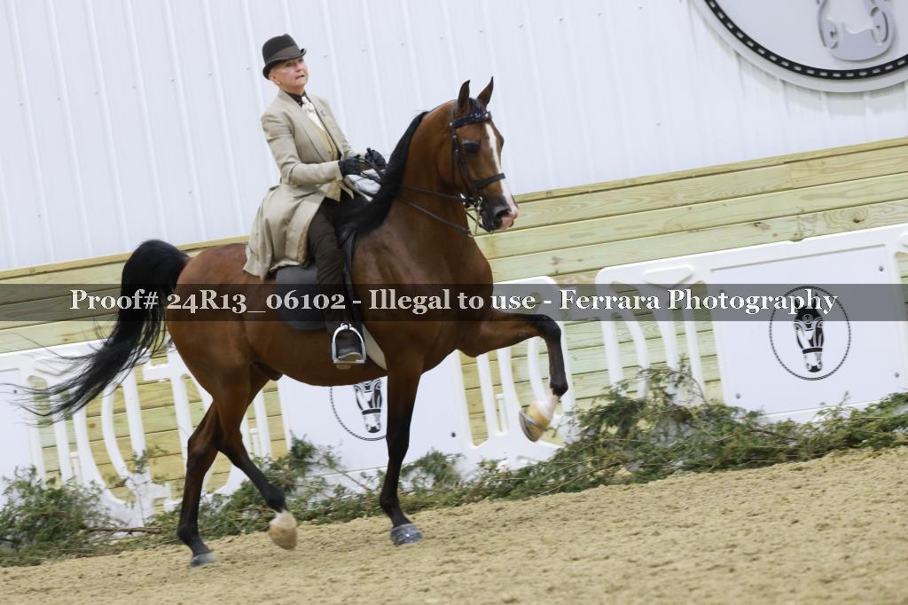 Proof 24R13_06102