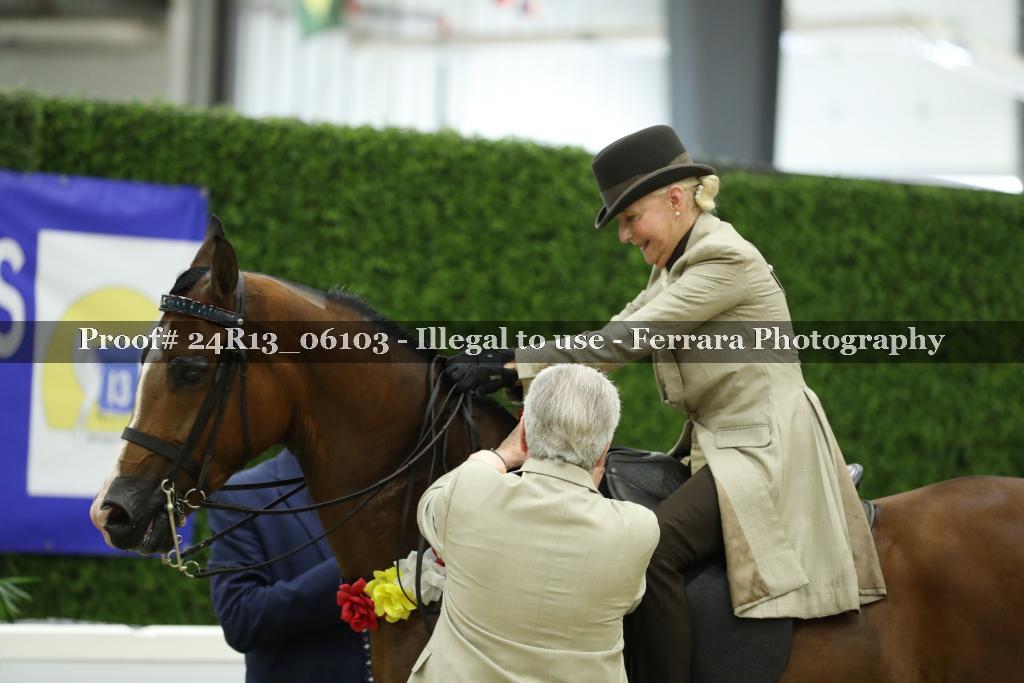 Proof 24R13_06103