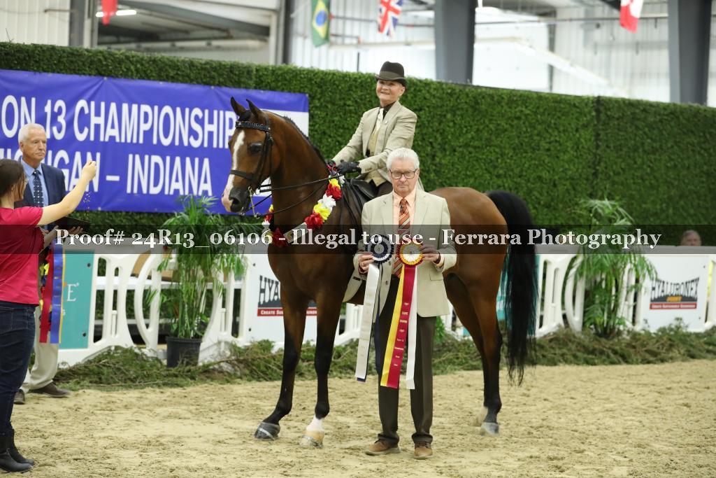 Proof 24R13_06106