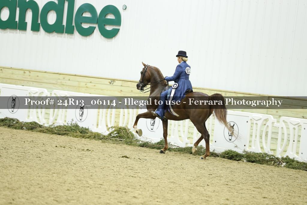 Proof 24R13_06114