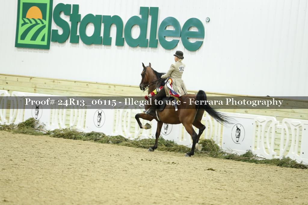 Proof 24R13_06115