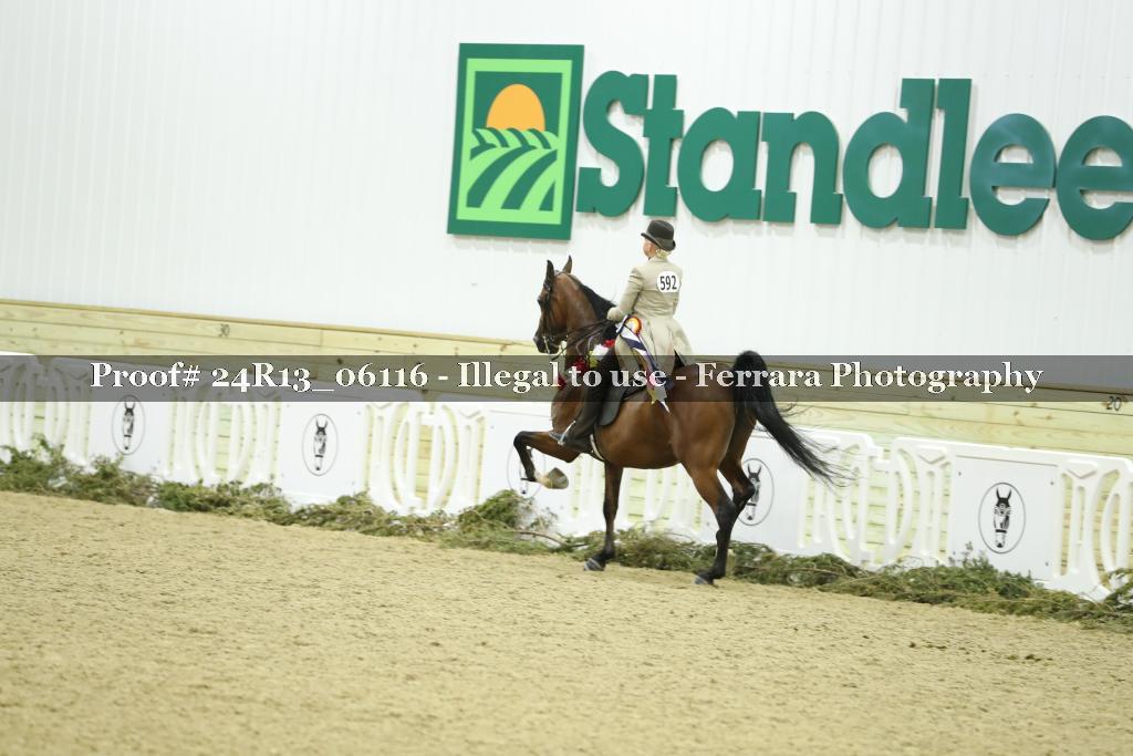 Proof 24R13_06116