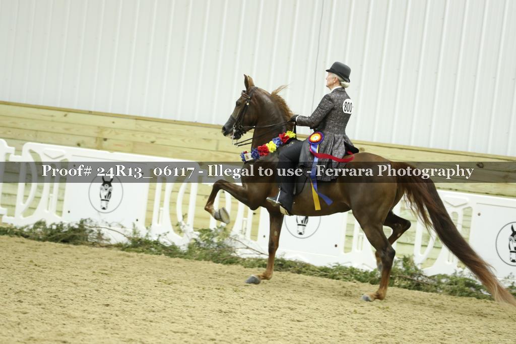 Proof 24R13_06117
