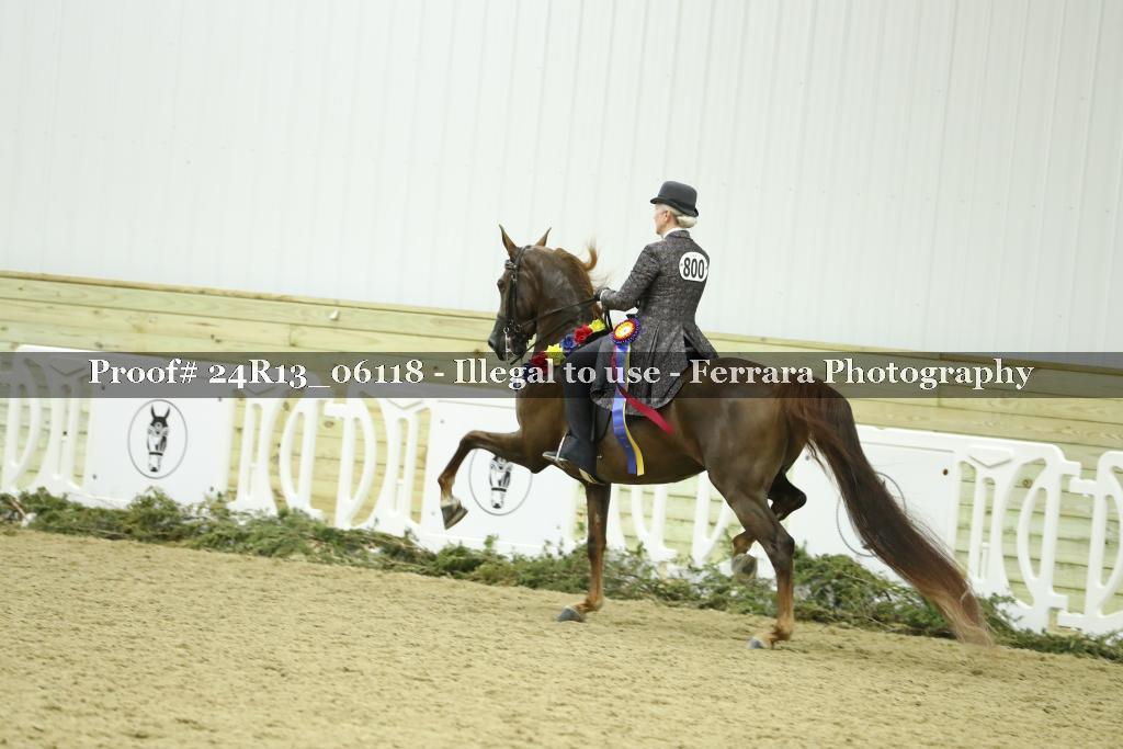 Proof 24R13_06118