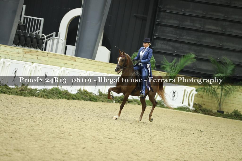 Proof 24R13_06119