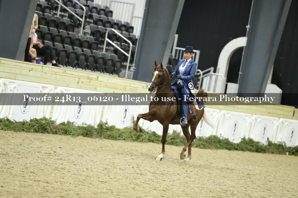 Proof 24R13_06120