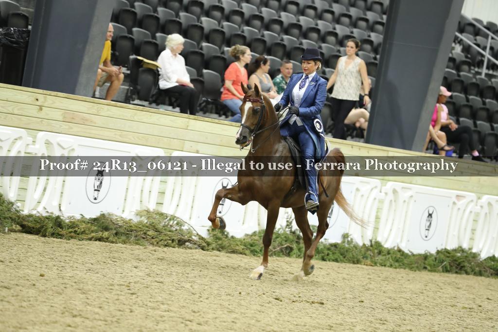 Proof 24R13_06121
