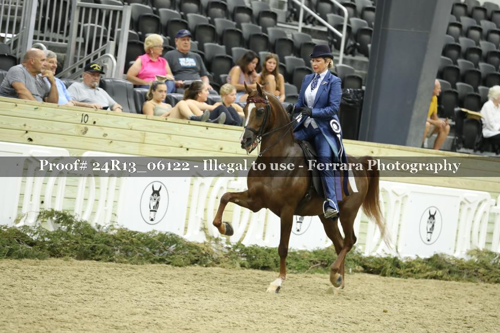 Proof 24R13_06122