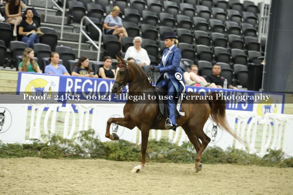 Proof 24R13_06124
