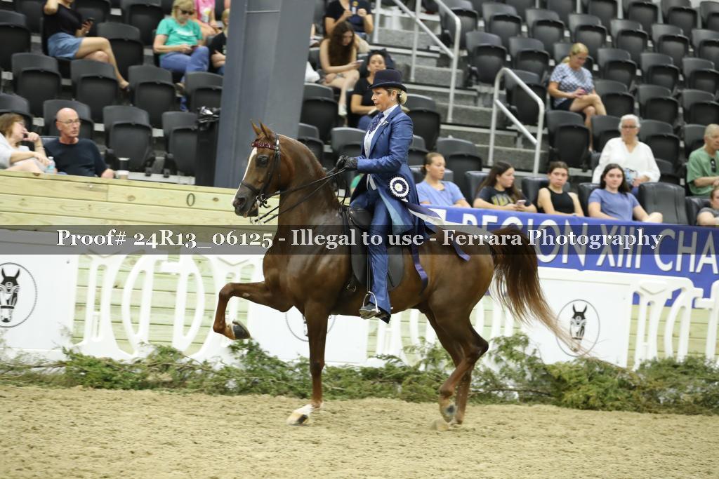 Proof 24R13_06125