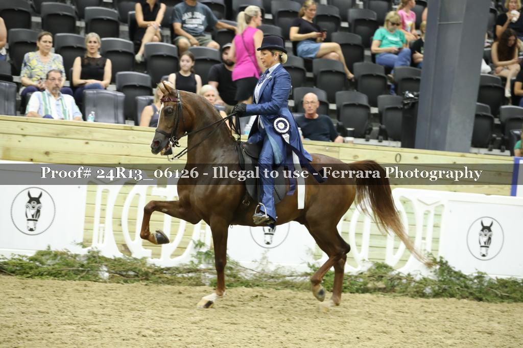Proof 24R13_06126