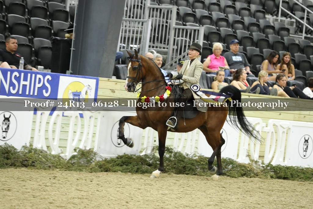 Proof 24R13_06128