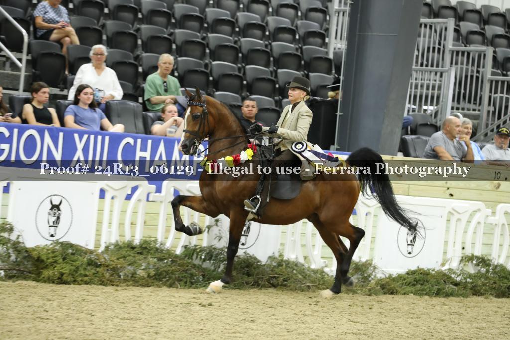 Proof 24R13_06129