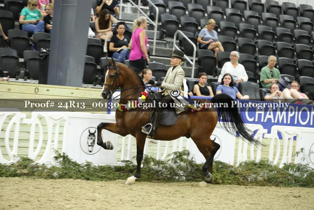 Proof 24R13_06130