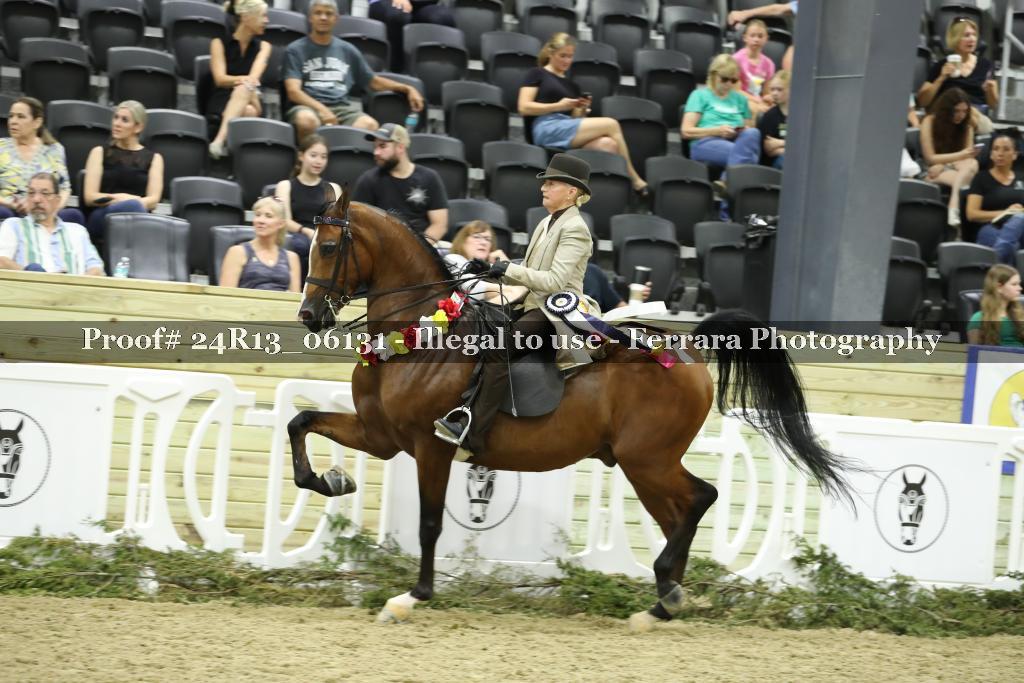 Proof 24R13_06131