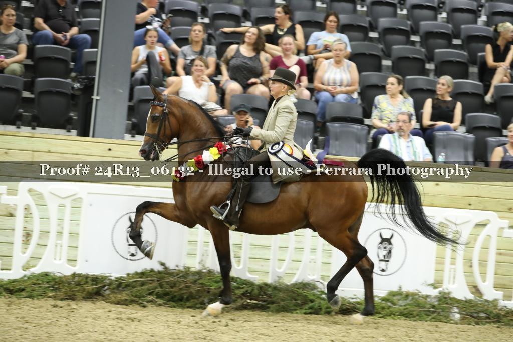 Proof 24R13_06132