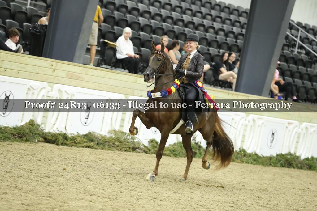Proof 24R13_06133