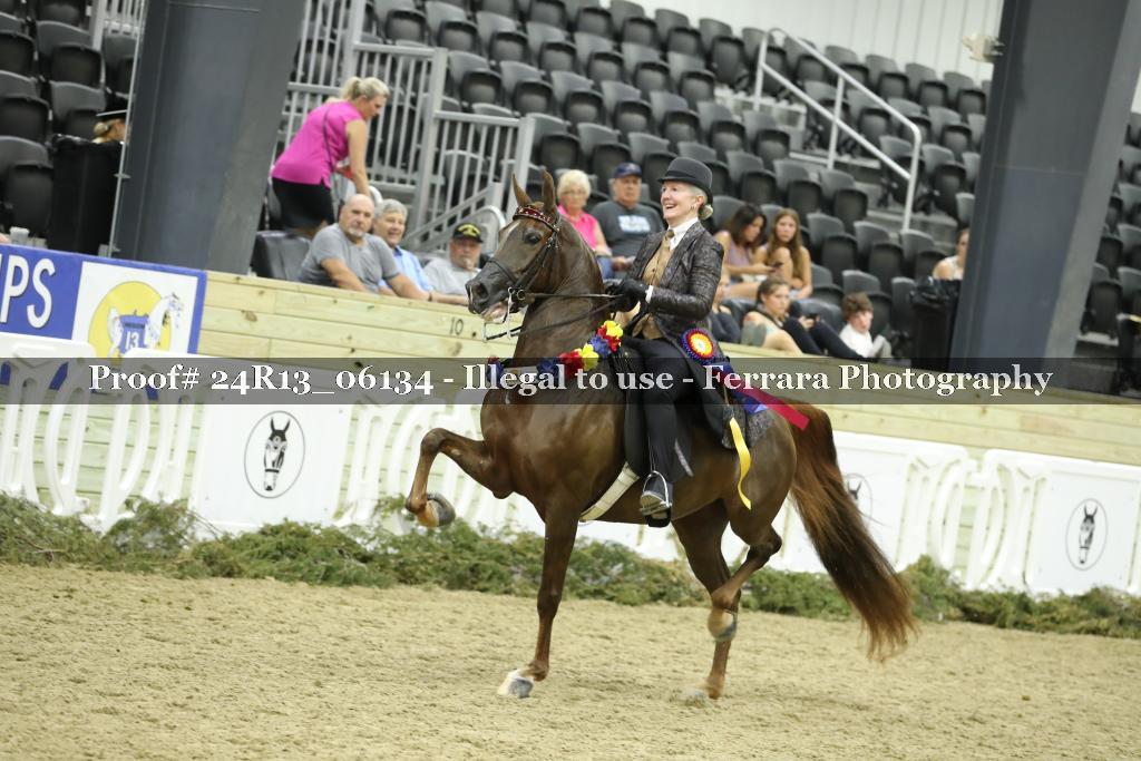 Proof 24R13_06134