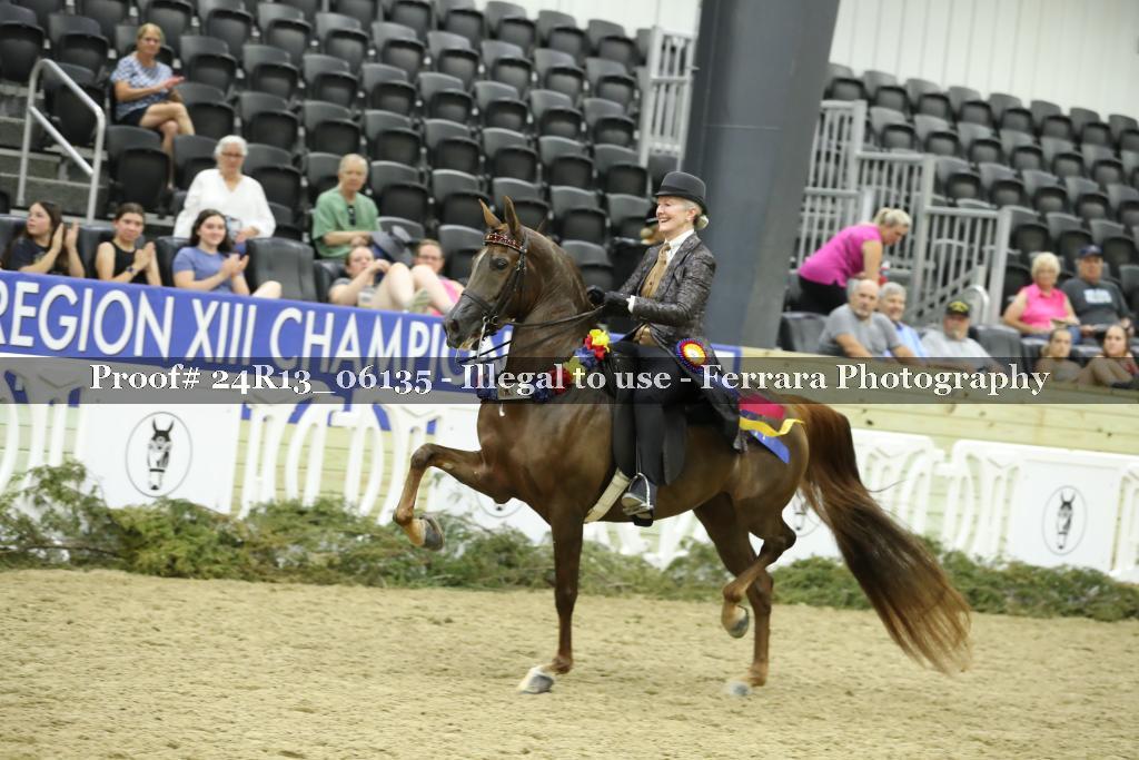 Proof 24R13_06135