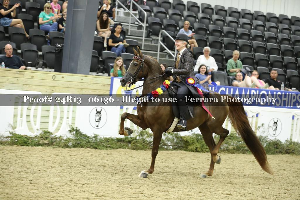 Proof 24R13_06136
