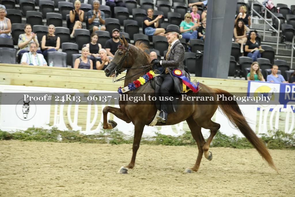 Proof 24R13_06137
