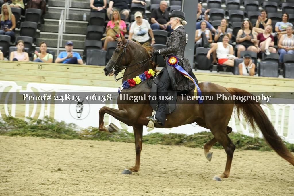 Proof 24R13_06138