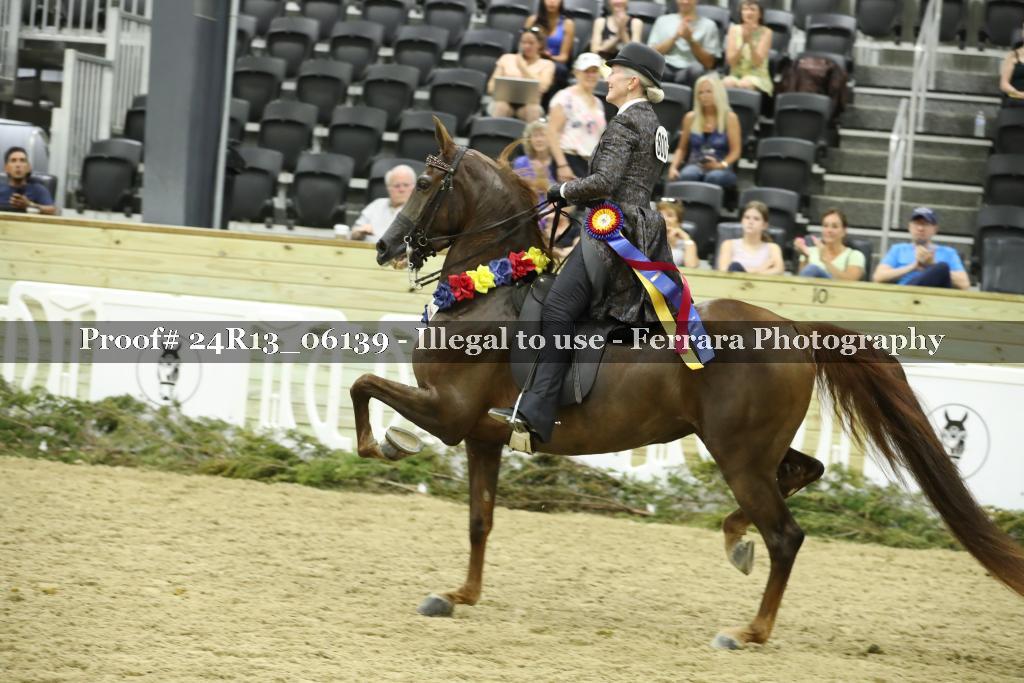 Proof 24R13_06139