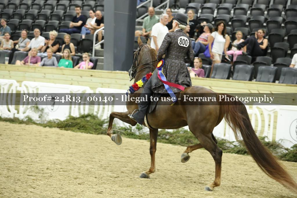 Proof 24R13_06140