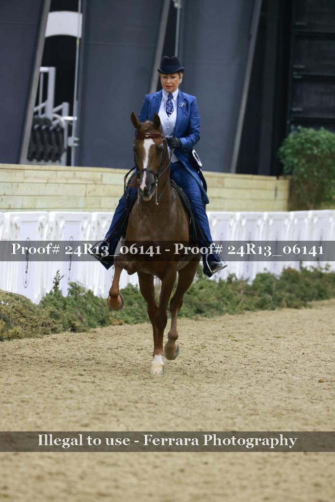 Proof 24R13_06141