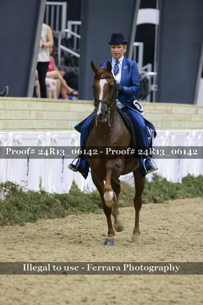 Proof 24R13_06142