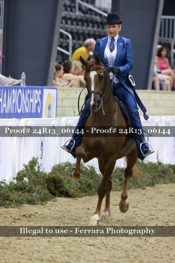 Proof 24R13_06144