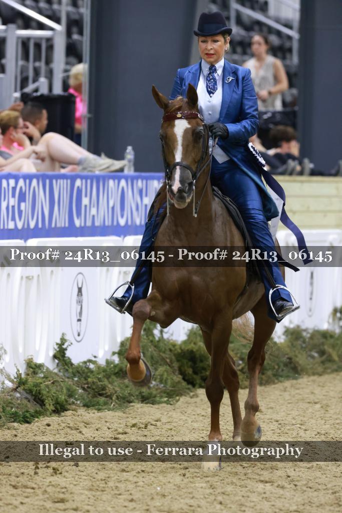Proof 24R13_06145