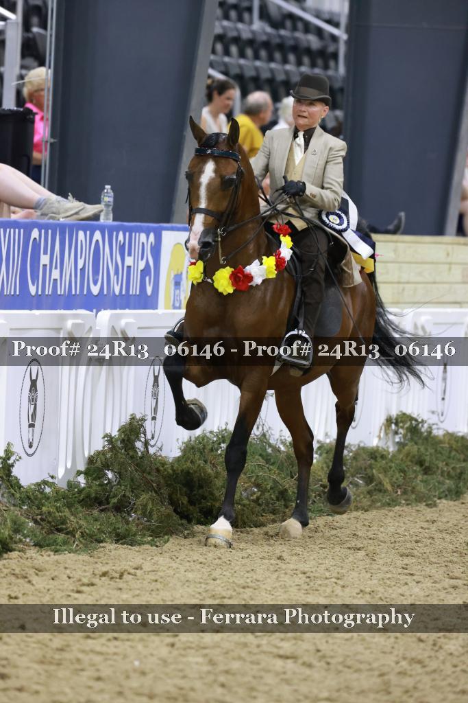 Proof 24R13_06146