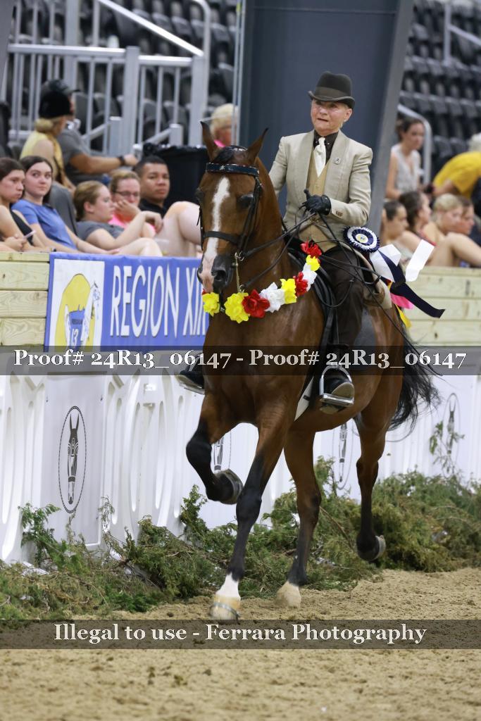 Proof 24R13_06147