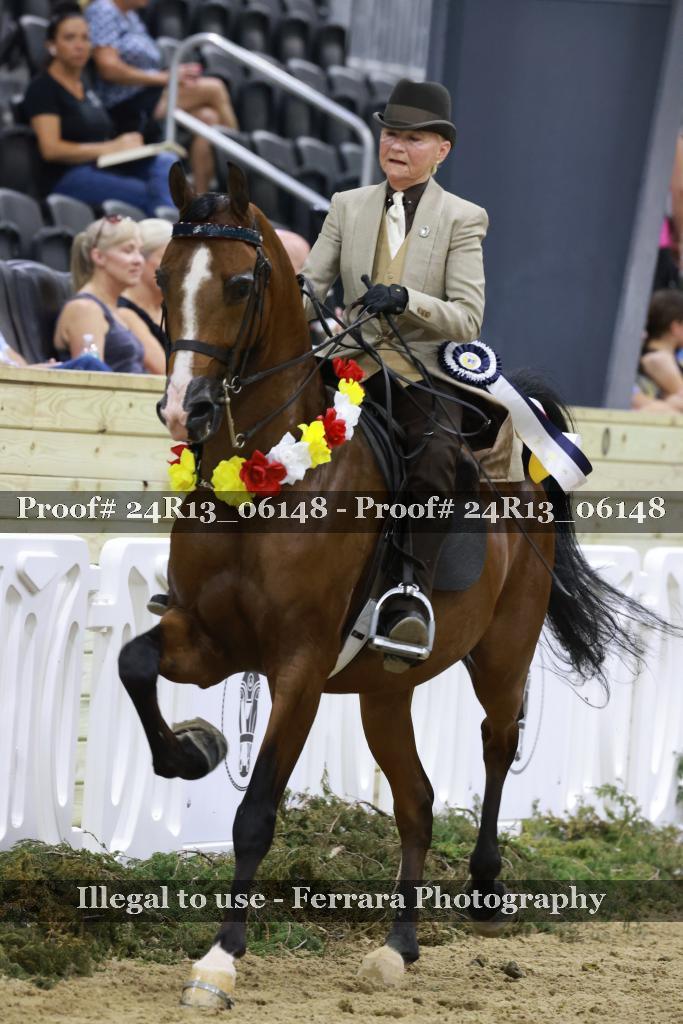 Proof 24R13_06148