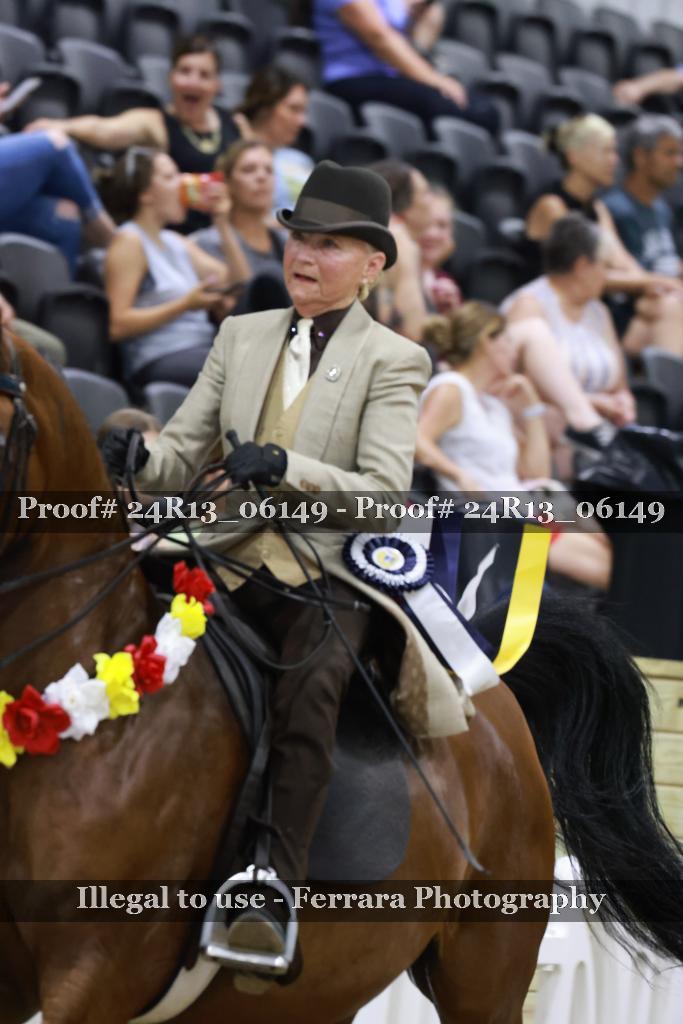 Proof 24R13_06149