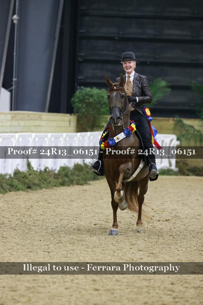 Proof 24R13_06151