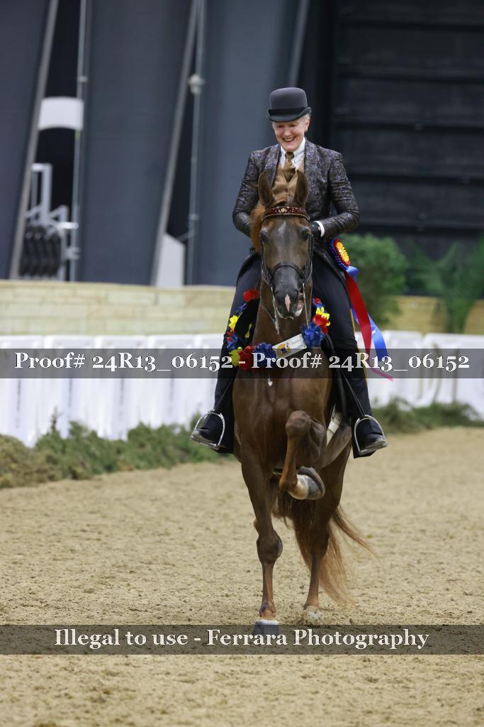 Proof 24R13_06152