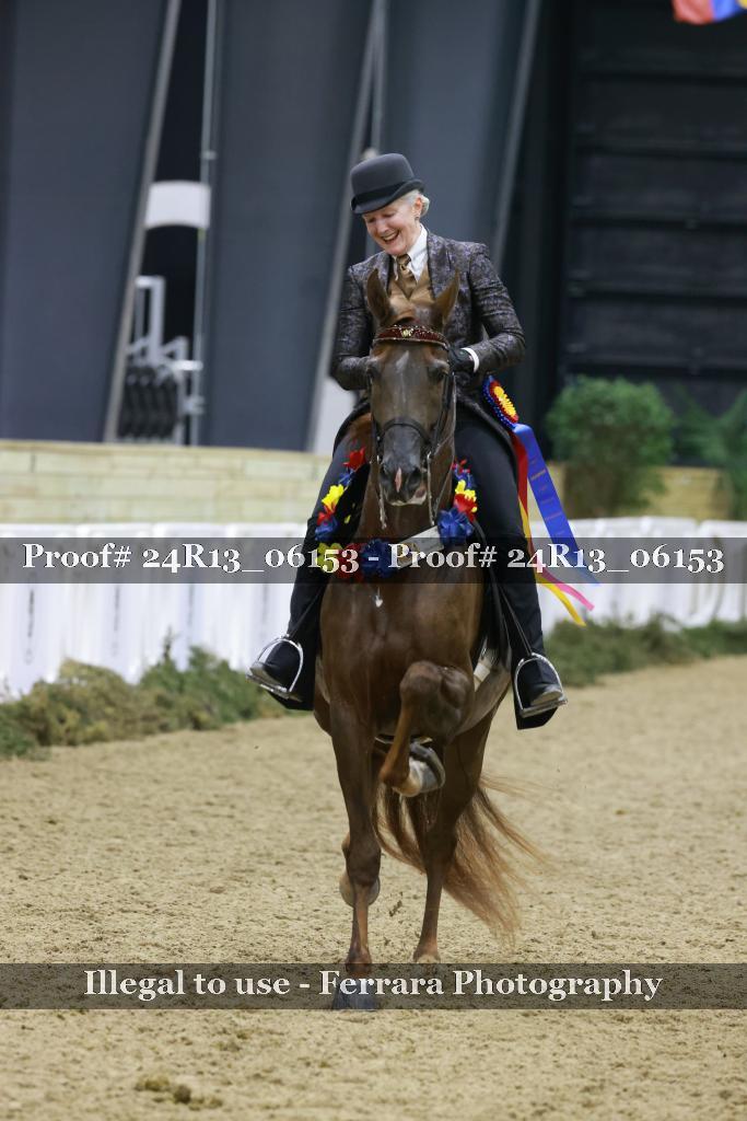 Proof 24R13_06153