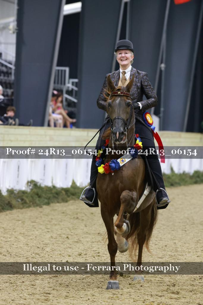 Proof 24R13_06154