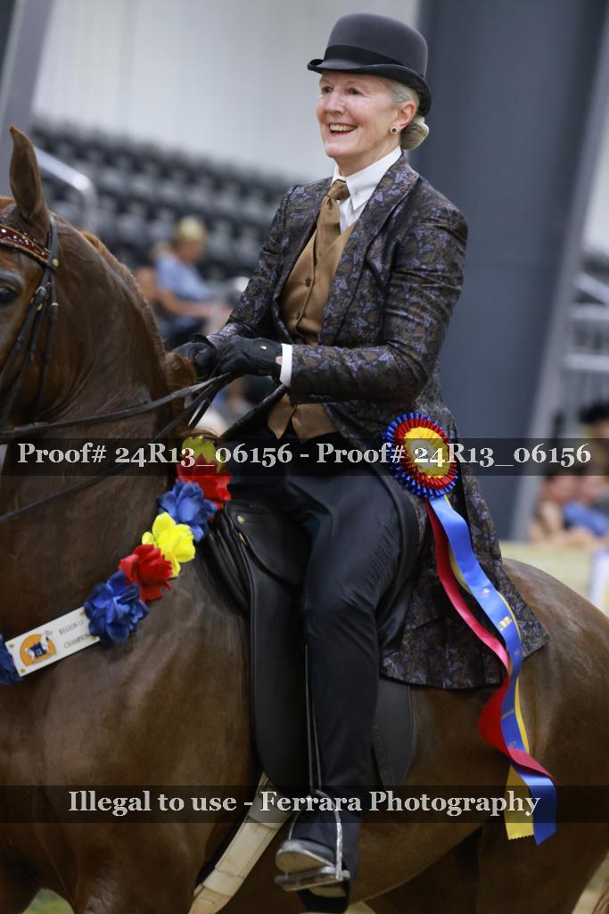 Proof 24R13_06156
