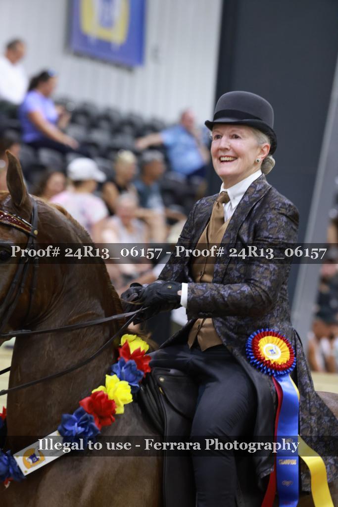 Proof 24R13_06157