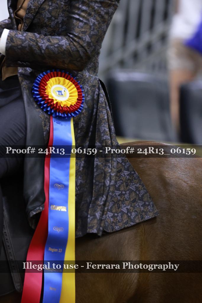 Proof 24R13_06159