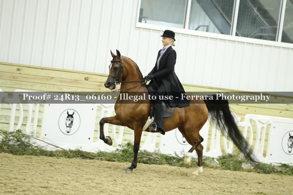 Proof 24R13_06160