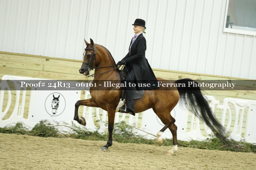 Proof 24R13_06161